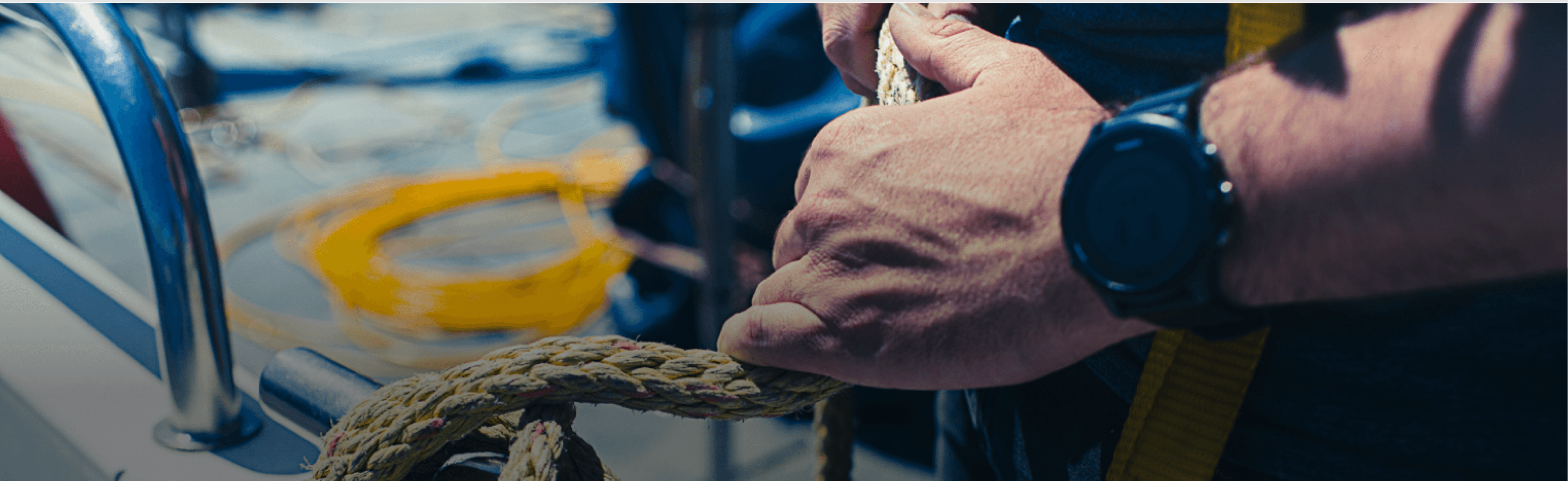 Header Image